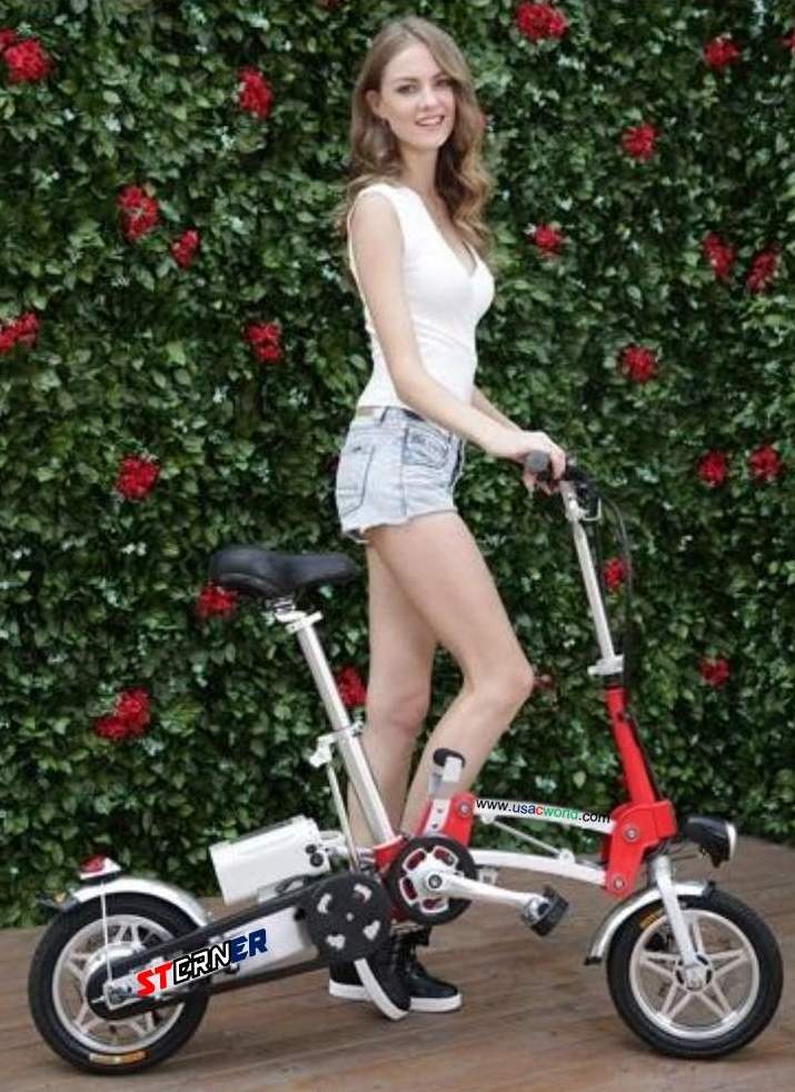 Beautiful Like a Flower - Sterner Electric Bikes